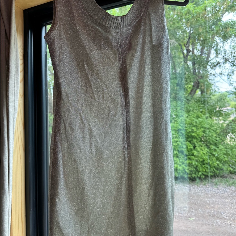 Shimmering Sleeveless Dress